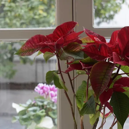 Just4two Apartament Kálymnos