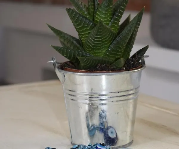 Just4two Kalymnos Town