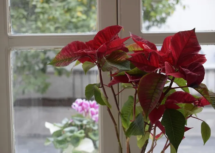 Just4two Апартаменты Kalymnos Town